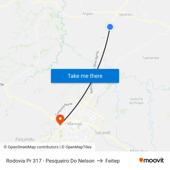 Rodovia Pr 317 - Pesqueiro Do Nelson to Feitep map