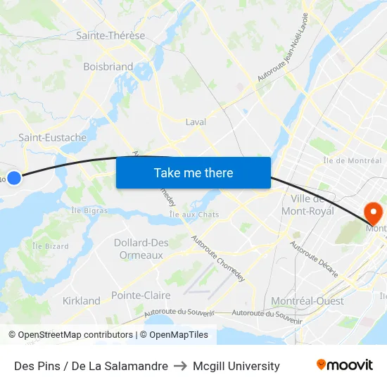 Des Pins / De La Salamandre to Mcgill University map