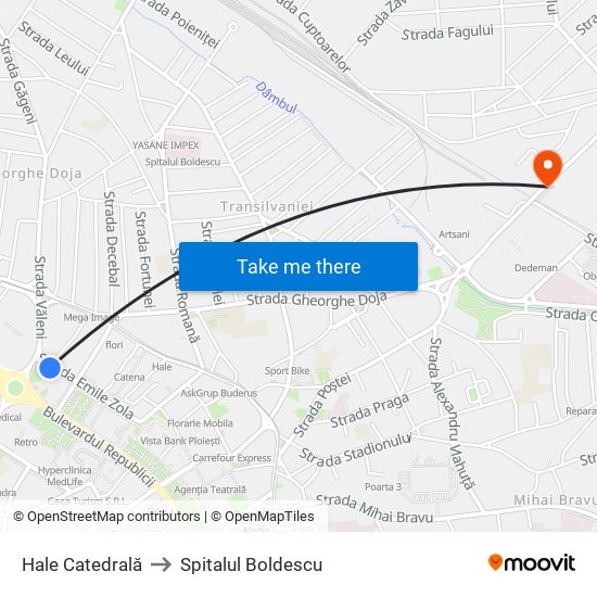 Hale Catedrală to Spitalul Boldescu map