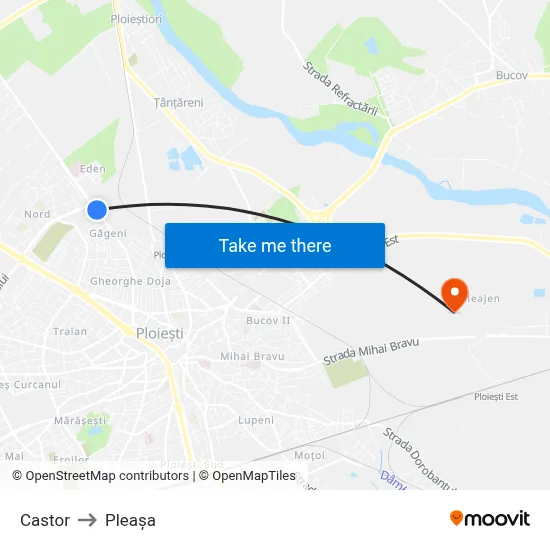 Castor to Pleașa map