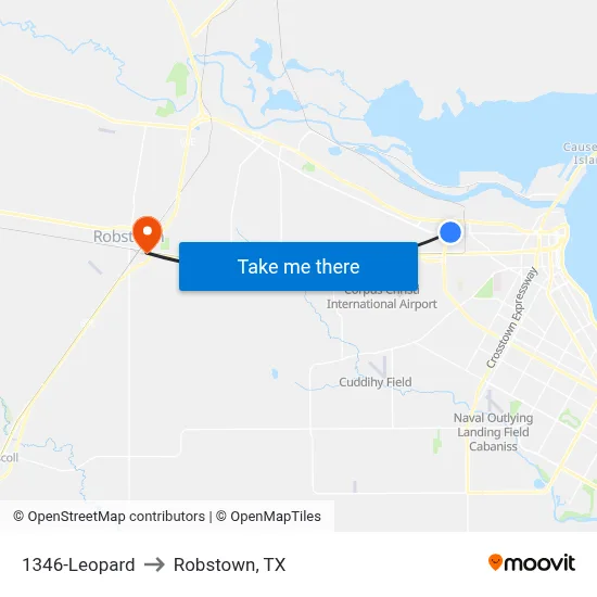 1346-Leopard to Robstown, TX map