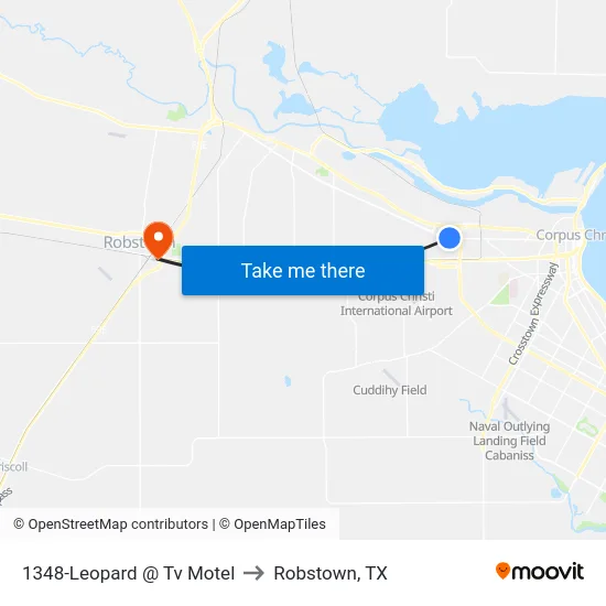 1348-Leopard @ Tv Motel to Robstown, TX map