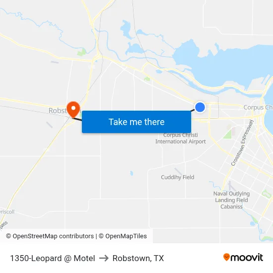 1350-Leopard @ Motel to Robstown, TX map