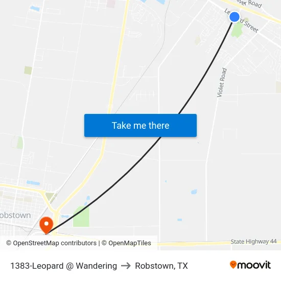 1383-Leopard @ Wandering to Robstown, TX map