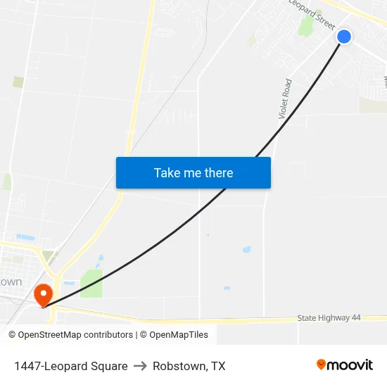 1447-Leopard Square to Robstown, TX map