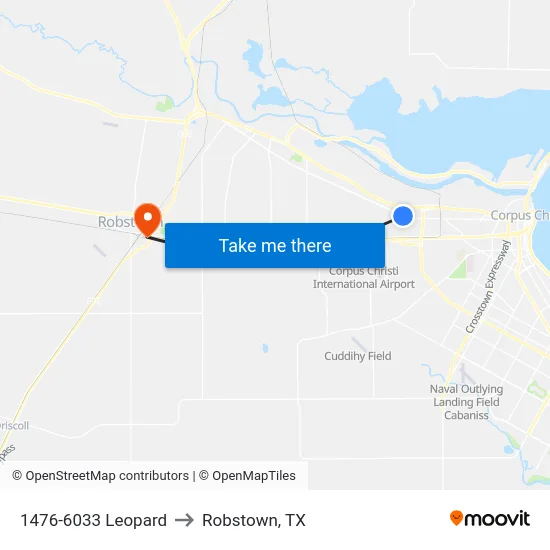 1476-6033 Leopard to Robstown, TX map