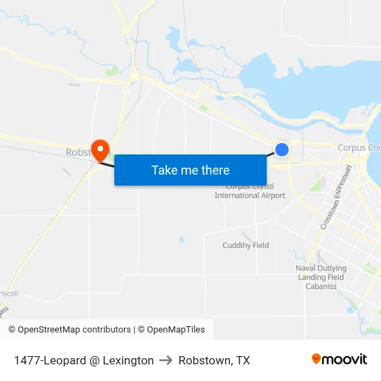 1477-Leopard @ Lexington to Robstown, TX map