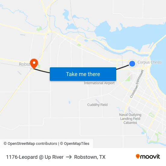 1176-Leopard @ Up River to Robstown, TX map