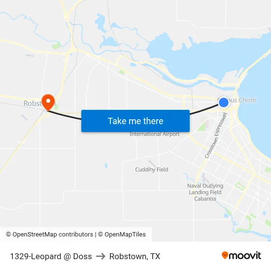 1329-Leopard @ Doss to Robstown, TX map