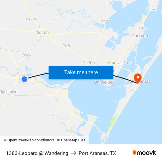 1383-Leopard @ Wandering to Port Aransas, TX map