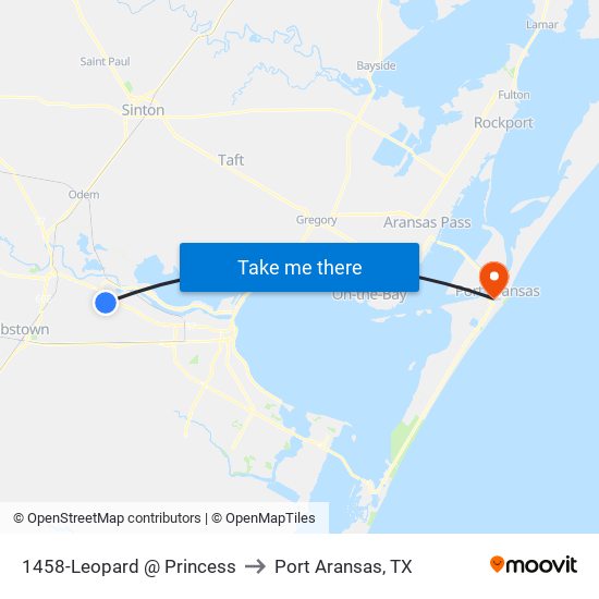 1458-Leopard  @  Princess to Port Aransas, TX map