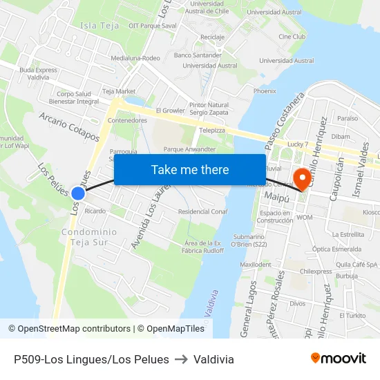 P509-Los Lingues/Los Pelues to Valdivia map
