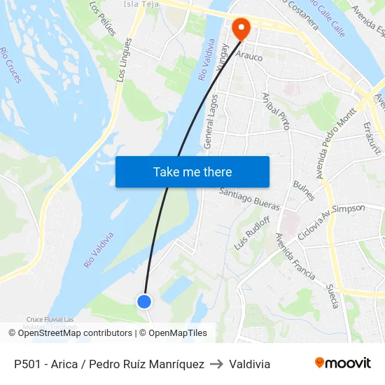 P501 - Arica / Pedro Ruíz Manríquez to Valdivia map