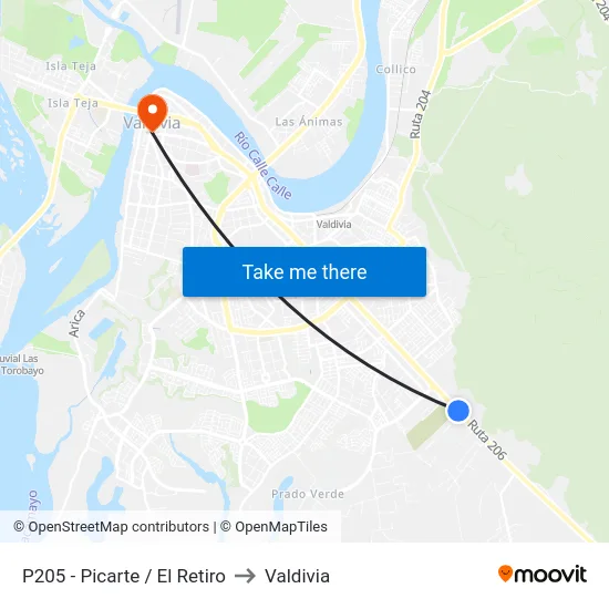 P205 - Picarte / El Retiro to Valdivia map