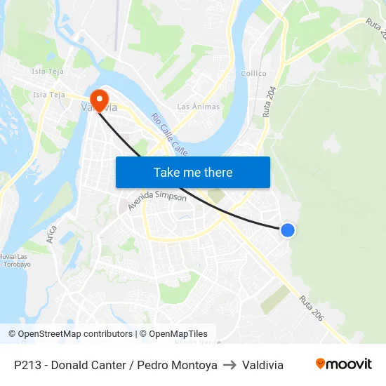 P213 - Donald Canter / Pedro Montoya to Valdivia map