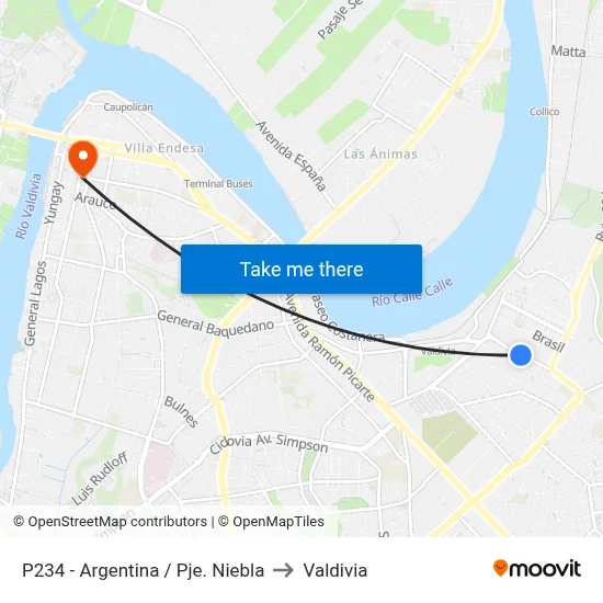 P234 - Argentina / Pje. Niebla to Valdivia map