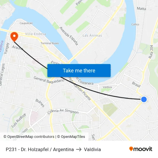 P231 - Dr. Holzapfel / Argentina to Valdivia map