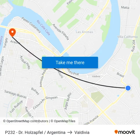P232 - Dr. Holzapfel / Argentina to Valdivia map
