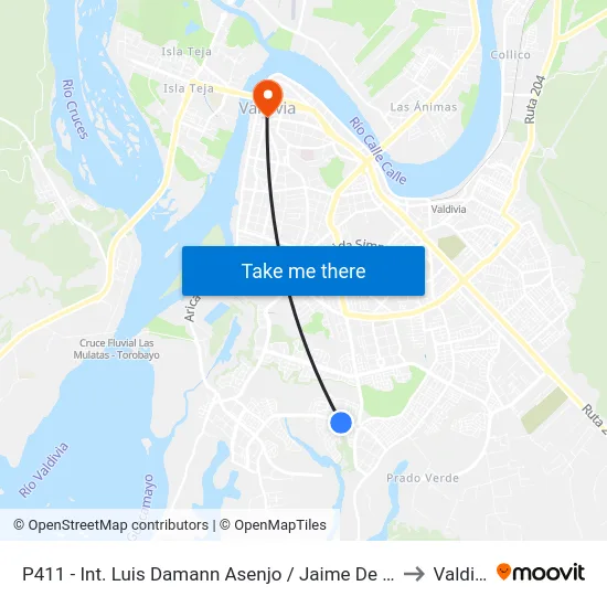 P411 - Int. Luis Damann Asenjo / Jaime De La Guarda to Valdivia map