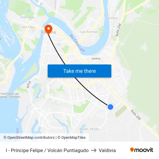 I - Príncipe Felipe / Volcán Puntiagudo to Valdivia map