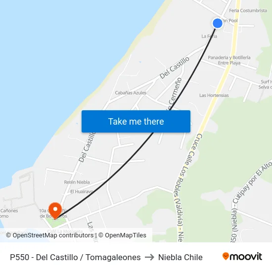 P550 - Del Castillo / Tomagaleones to Niebla Chile map