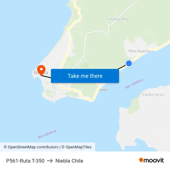 P561-Ruta T-350 to Niebla Chile map