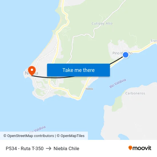 P534 - Ruta T-350 to Niebla Chile map
