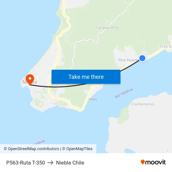 P563-Ruta T-350 to Niebla Chile map