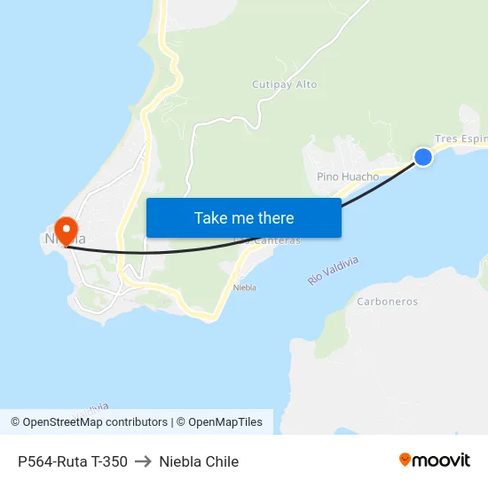 P564-Ruta T-350 to Niebla Chile map