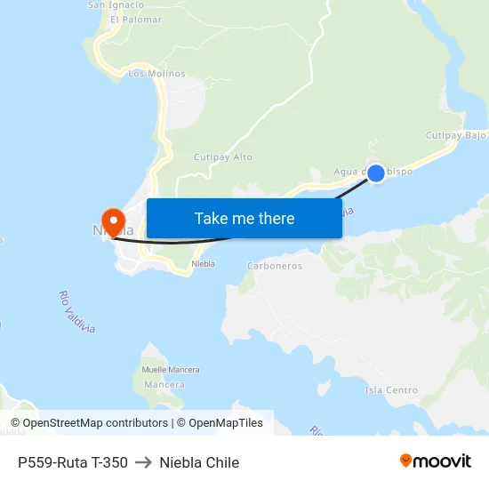 P559-Ruta T-350 to Niebla Chile map
