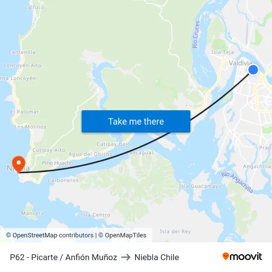 P62 - Picarte / Anfión Muñoz to Niebla Chile map