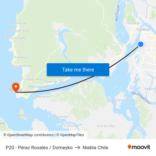 P20 - Pérez Rosales / Domeyko to Niebla Chile map
