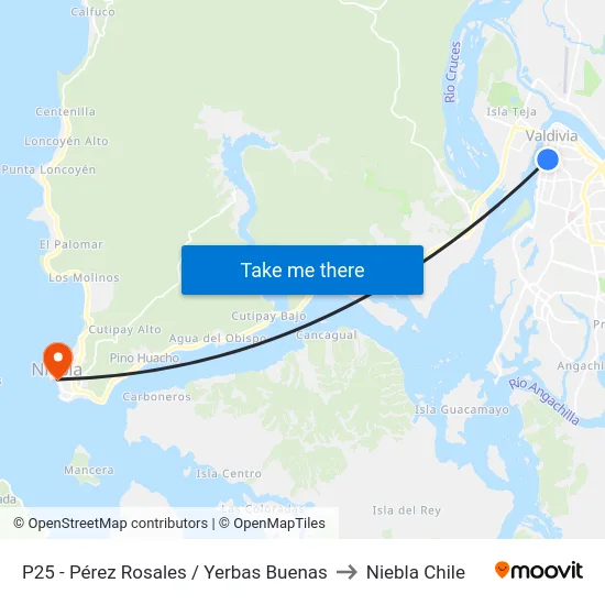 P25 - Pérez Rosales / Yerbas Buenas to Niebla Chile map