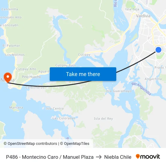 P486 - Montecino Caro / Manuel Plaza to Niebla Chile map