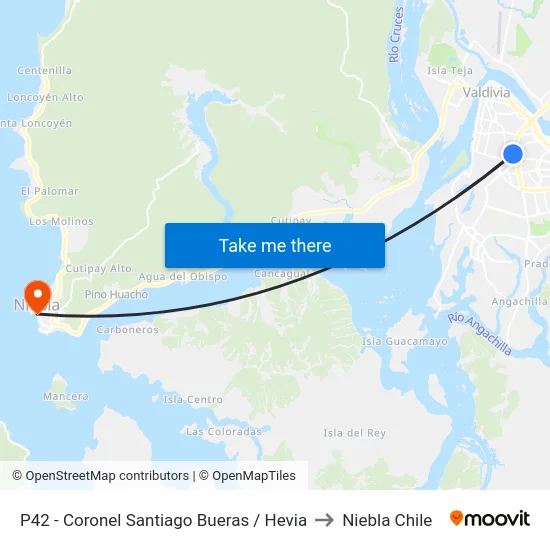 P42 - Coronel Santiago Bueras / Hevia to Niebla Chile map
