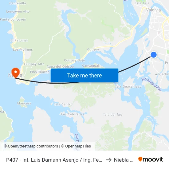 P407 - Int. Luis Damann Asenjo / Ing. Federico Wiese to Niebla Chile map