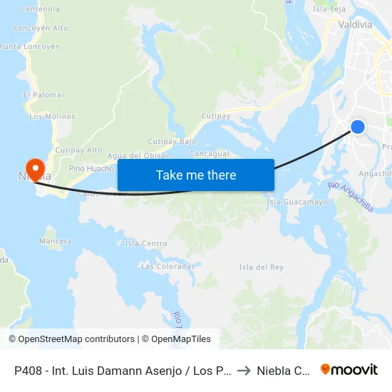 P408 - Int. Luis Damann Asenjo / Los Pumas to Niebla Chile map