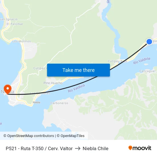 P521 - Ruta T-350 / Cerv. Valtor to Niebla Chile map
