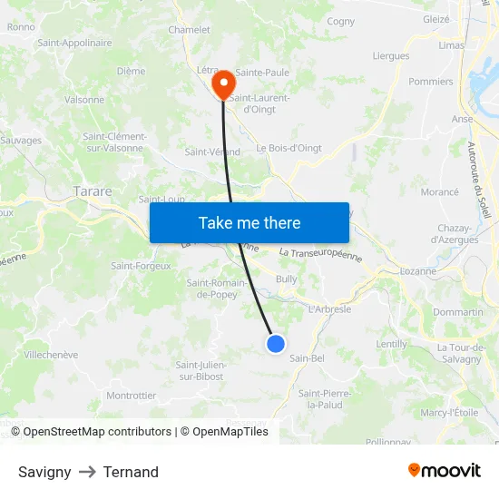 Savigny to Ternand map