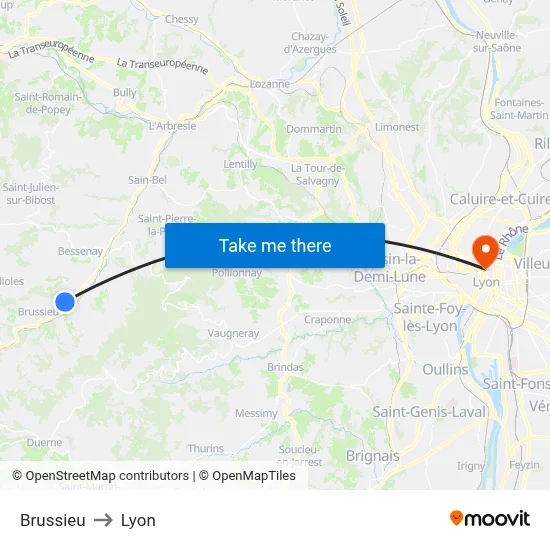 Brussieu to Lyon map