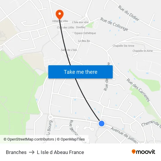 Branches to L Isle d Abeau France map