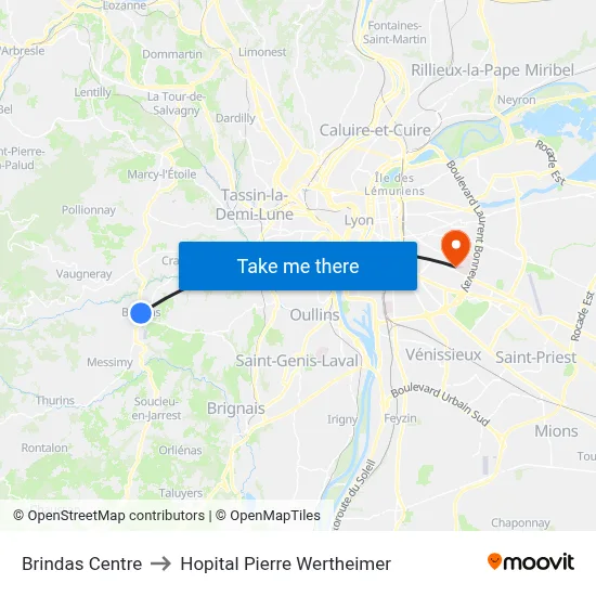 Brindas Centre to Hopital Pierre Wertheimer map