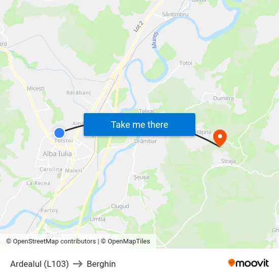 Ardealul (L103) to Berghin map
