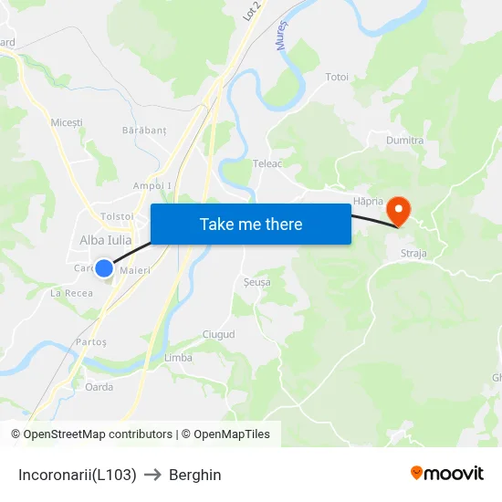 Incoronarii(L103) to Berghin map