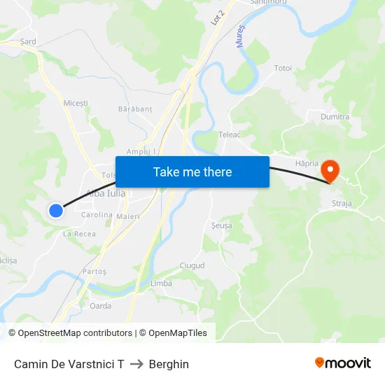 Camin De Varstnici T to Berghin map