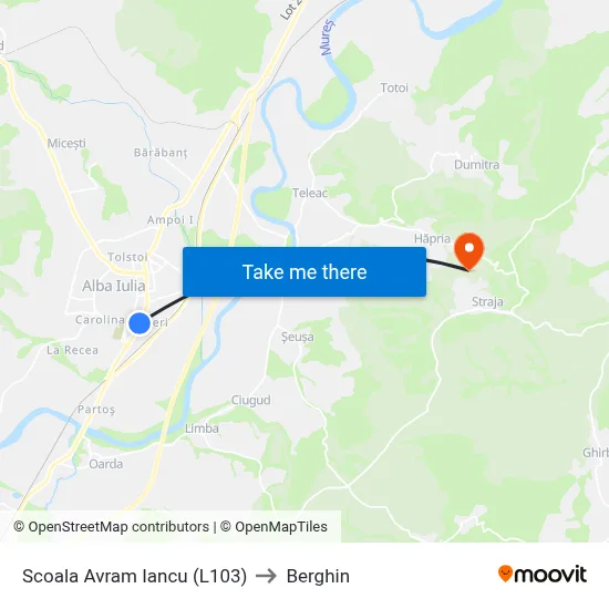 Scoala Avram Iancu (L103) to Berghin map