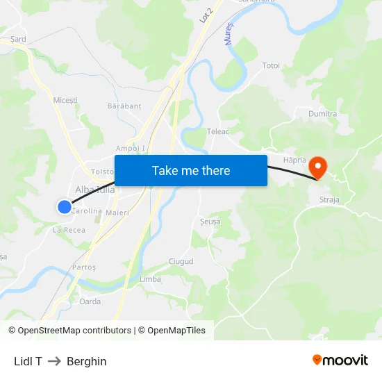 Lidl T to Berghin map