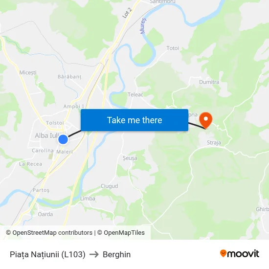 Piața Națiunii (L103) to Berghin map