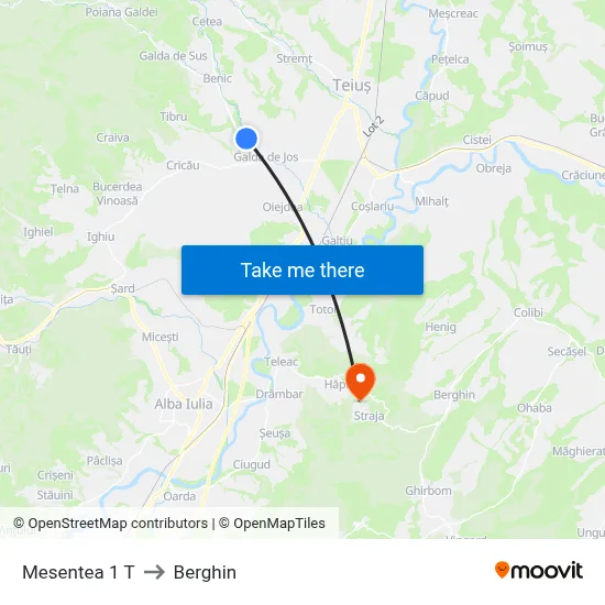 Mesentea 1 T to Berghin map