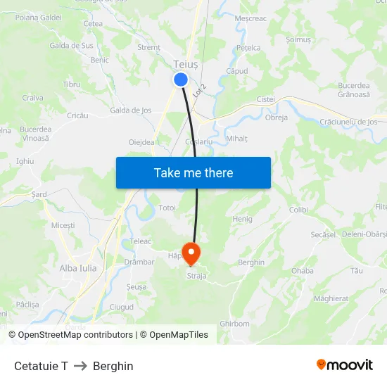 Cetatuie T to Berghin map